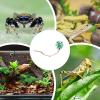 Realistic Decorative Climbing Toy for Jumping Spiders view 4