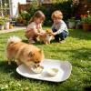 Dog Feeding Mat with Raised Spill-Proof Edge view 2