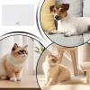 Dog Feeding Mat with Raised Spill-Proof Edge view 4
