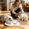 Pet Feeding Mat with Raised Edge view 2