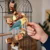 80cm Natural Wood Bird Toy for Parakeets view 2