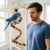 80cm Natural Wood Bird Toy for Parakeets view 3
