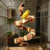 80cm Natural Wood Bird Toy for Parakeets view 4