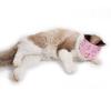 HEEPDD Cat Muzzle for Grooming, Breathable Polyester Mesh, Size S view 2