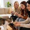 Cat Treat Squeezer view 3