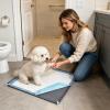 Puppy Training Pad Holder Tray view 2