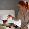 Generic 3D-Printed Compact Treat Press for Pets view 2