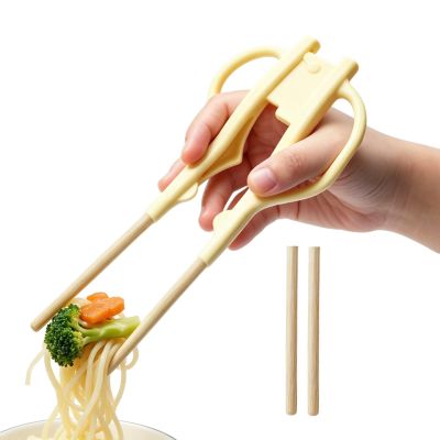 Ergonomic, Replaceable Assistive Chopsticks for Seniors