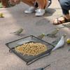 Operitacx Square Stainless Steel Bird Feeder Bowl with Hygienic Design for Gardens and Patios view 4