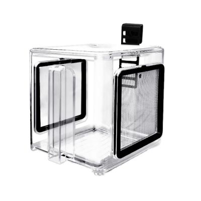 Generic Acrylic Fish Breeding Container with Divider for Shrimp Acclimation