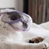 Reusable Polypropylene Cat Muzzle view 4