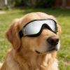 Dog Sunglasses - Durable Eye Protection view 3