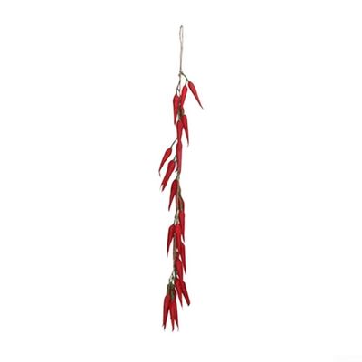 Colorful Vegetable Hanging Set with Pepper, Garlic, and Peanut Models