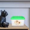 Abaodam Portable ABS Reptile Transport Box with Transparent Lid and Handle view 4