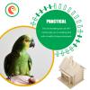 OUNONA Wooden Parakeet Nest for Cockatiels and Lovebirds, Decorative view 3