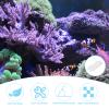 ibasenice Curved Acrylic Coral Frag Rack with 2 Suction Cups and 23 Holes view 3