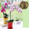 Natural Sphagnum Moss for Plants view 3