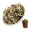 Natural Sphagnum Moss for Plants view 4
