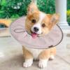 Lightweight, Soft, Comfortable Recovery Collar for Dogs, Prevents Licking and Scratching view 3