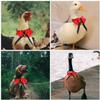 JECOMPRIS Handmade Bird Collar with Adjustable Comfortable Fabric and Metal view 3