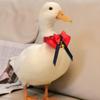 JECOMPRIS Handmade Bird Collar with Adjustable Comfortable Fabric and Metal view 4