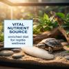 VAEIORP 2-Pack 12 cm Cuttlebones for Parrots, Turtles & Reptiles view 3