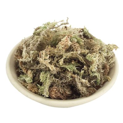 Sphagnum Moss for Orchids