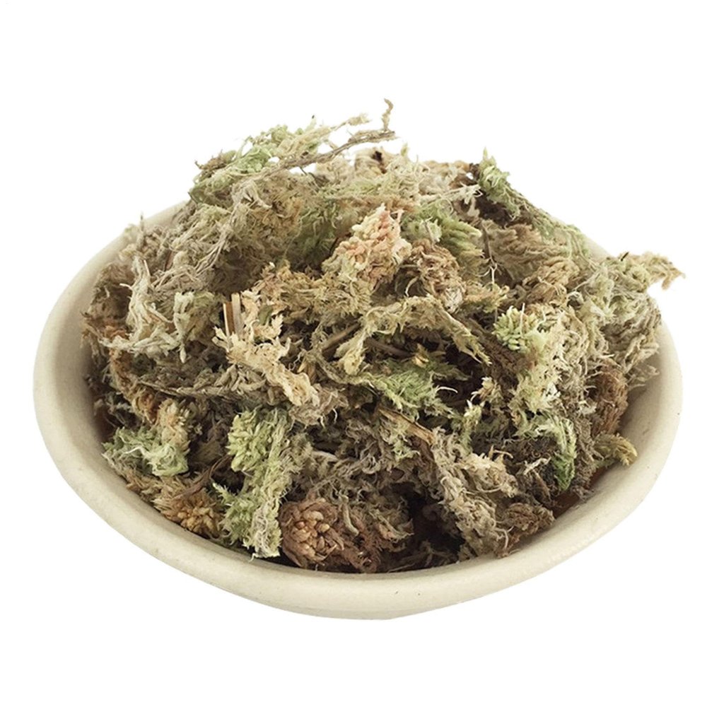 Sphagnum Moss for Orchids