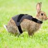 PERSELOSO Adjustable Rabbit Harness Set in Gentleman Style view 4