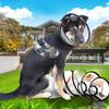 ABOOFAN 5-Pack White PP Recovery Collars for Dogs and Cats view 4