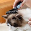 Ceprznvey Undercoat Rake for Dogs view 2