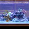 Happyyami Artificial Reptile Plant Ornament view 4