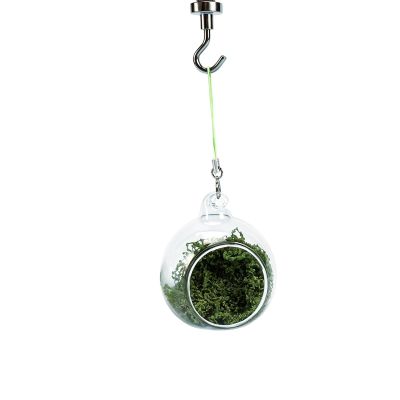 Jumping Spider Habitat with Magnetic Transparent Hide