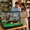 Jumping Spider Habitat with Magnetic Transparent Hide view 2