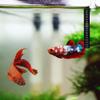 Cryofu 24-Piece Portable Aquarium Thermometer Stickers view 2