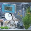 Sorandy Aquarium Thermometer view 3