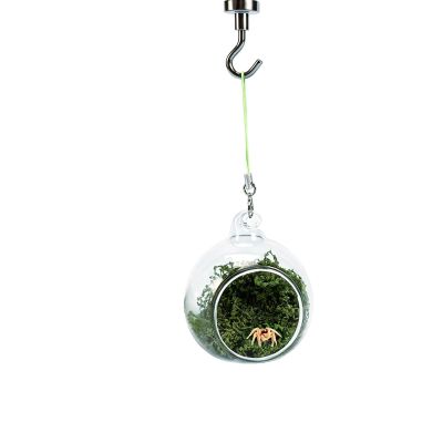 Spider Terrarium Decoration | Hammock, Natural, Magnetic