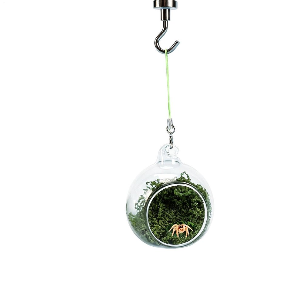 Spider Terrarium Decoration | Hammock, Natural, Magnetic