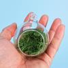 Spider Terrarium Decoration | Hammock, Natural, Magnetic view 3