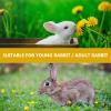 RORPOIR Rabbit-Themed Outfit Set view 4