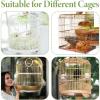 Generic Bird Cage Net view 4