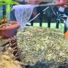 Emoshayoga Aquarium Shrimp Net view 3