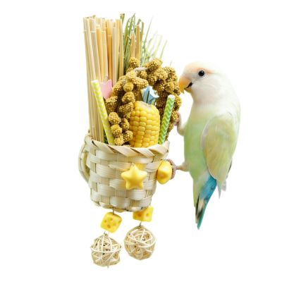 Cockatiel Toy Sets: Decorative Shredding Toys