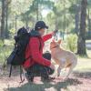 HOOWIFFY Dog Training Clicker view 4