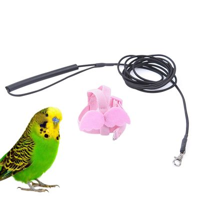 CATIEBYE Adjustable Parrot Harness with 2m Elastic Flight Leash and Angel Wings