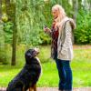 JEWEDECO Portable Clicker for Dog and Cat Training view 4
