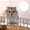 Iron Hamster Wheel Stand, Stable and Secure, 1 Pc. view 3