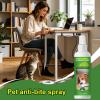 Generic Anti-Chew Spray for Dogs - 100 ml view 2