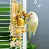 Cockatiel Chew Toy Sets – Interactive Chew-and-Shred Toys view 2