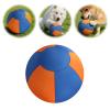 Introti Herding Ball for Dogs with Protective Cover and Pump, Dog Training Toy for Collies, German Shepherds and All Herding Breeds view 2